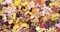 Cute Charm Mix in Brown Peach & Yellow, 30 pieces, Resin and Acrylic Mix, Adorabilities